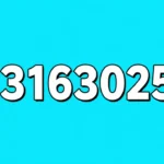 03316302561