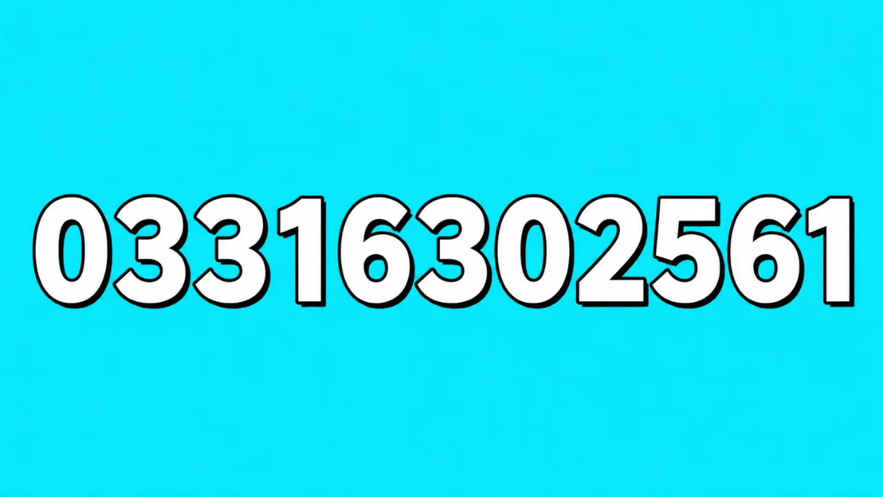 03316302561